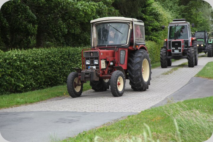 dorffest_2019__255_.jpg