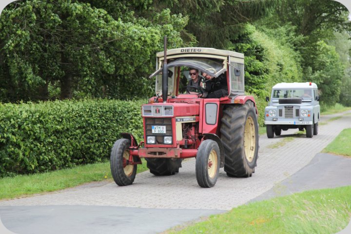 dorffest_2019__258_.jpg