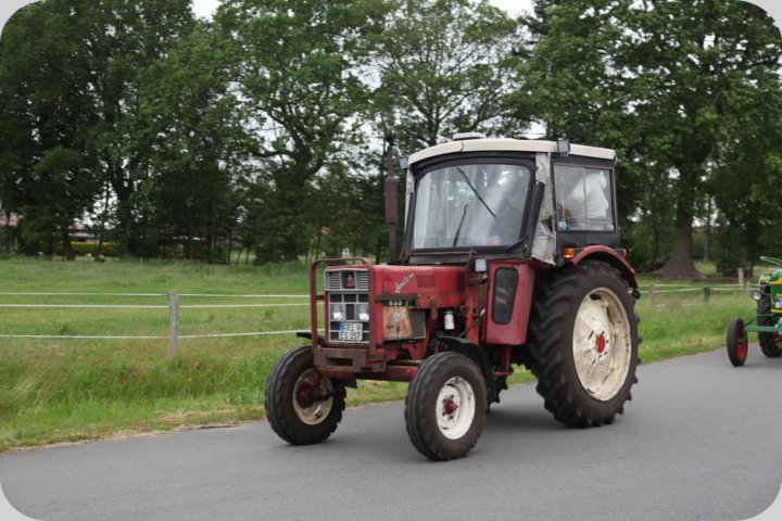 dorffest_2019__25_.jpg