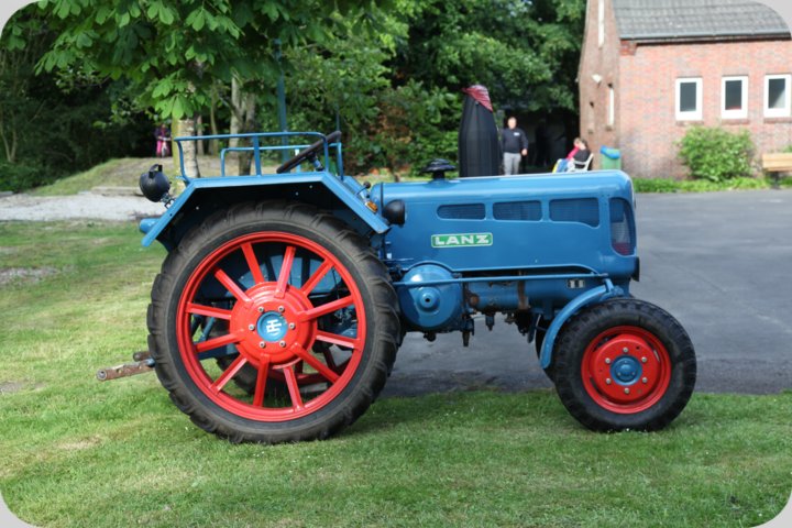 dorffest_2019__261_.jpg