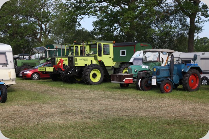 dorffest_2019__265_.jpg