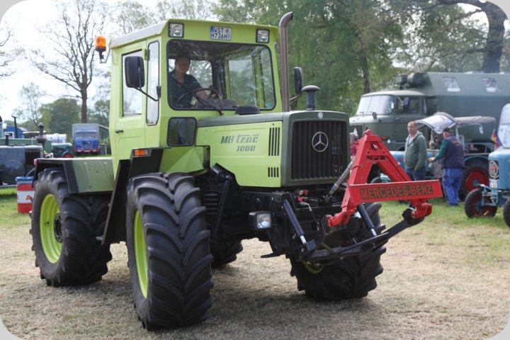 dorffest_2019__273_.jpg