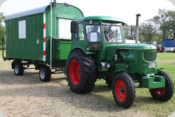 dorffest_2019__298_.jpg