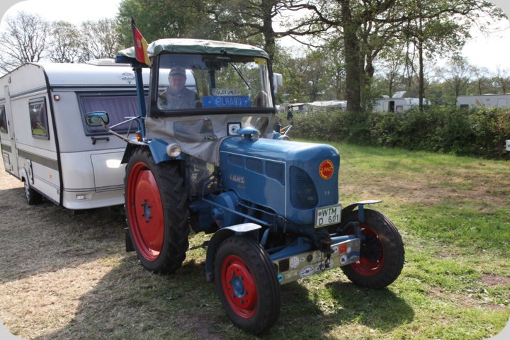 dorffest_2019__300_.jpg