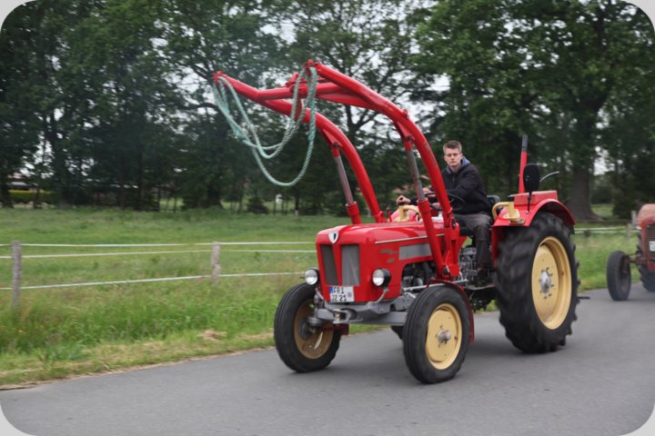 dorffest_2019__30_.jpg