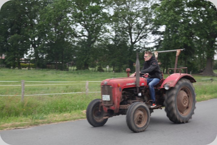 dorffest_2019__31_.jpg