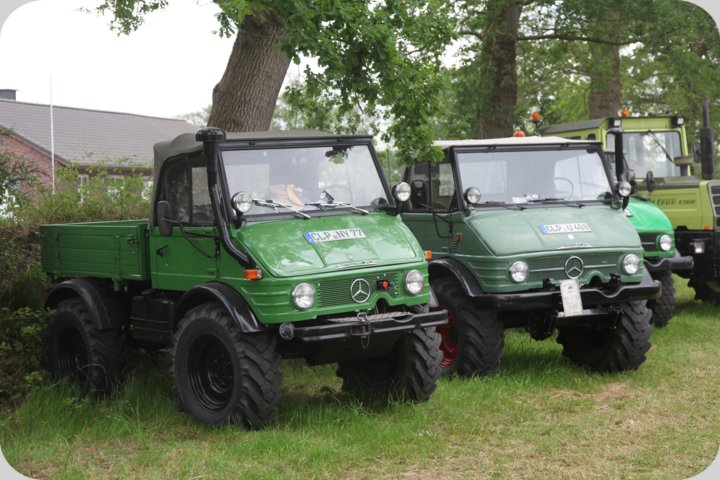 dorffest_2019__322_.jpg