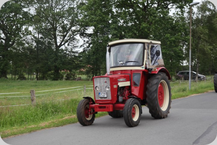 dorffest_2019__34_.jpg