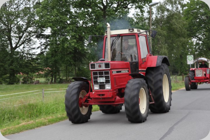 dorffest_2019__35_.jpg