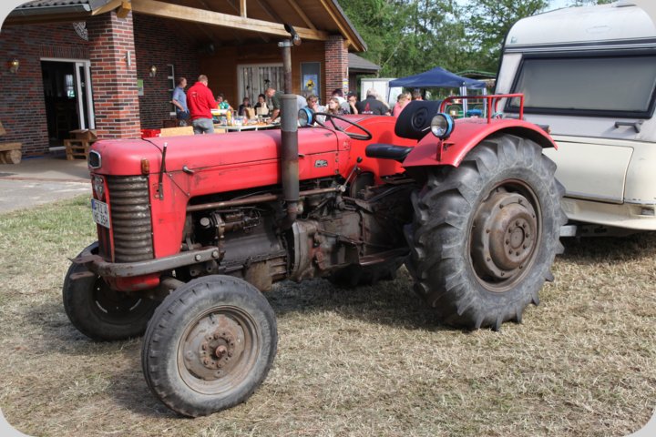 dorffest_2019__369_.jpg