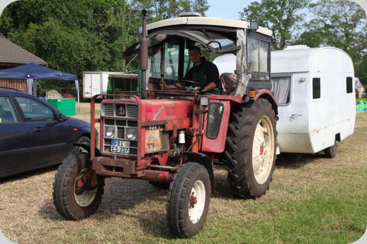 dorffest_2019__375_.jpg