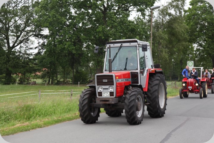 dorffest_2019__37_.jpg