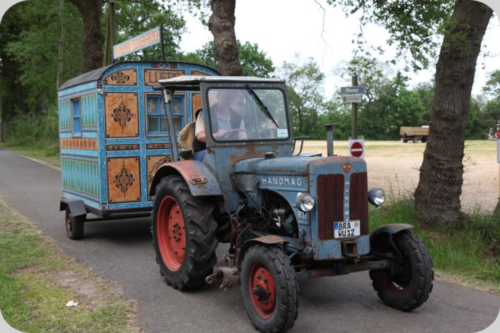 dorffest_2019__410_.jpg