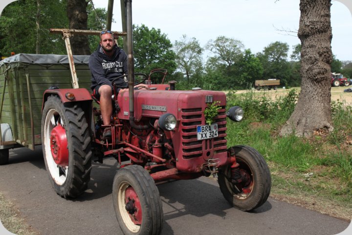 dorffest_2019__411_.jpg