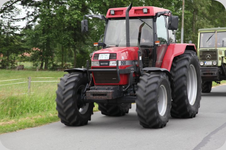 dorffest_2019__43_.jpg