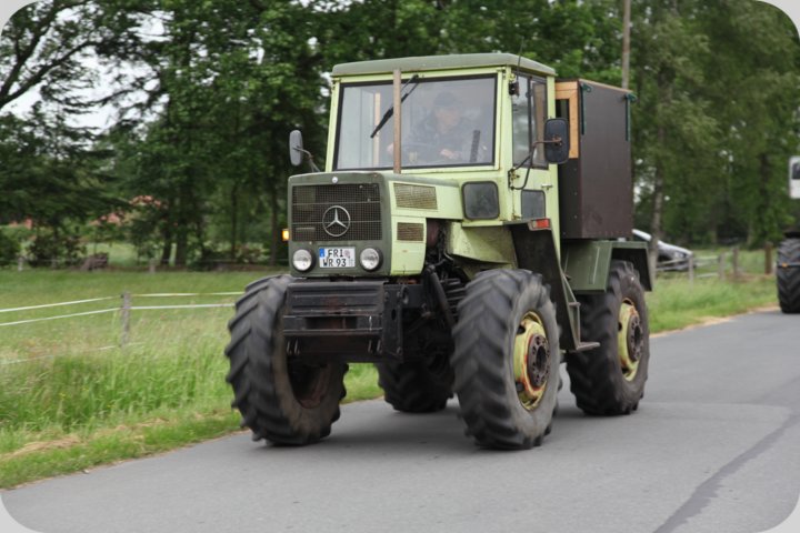 dorffest_2019__44_.jpg
