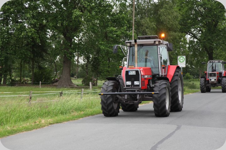 dorffest_2019__45_.jpg