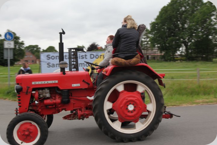 dorffest_2019__46_.jpg