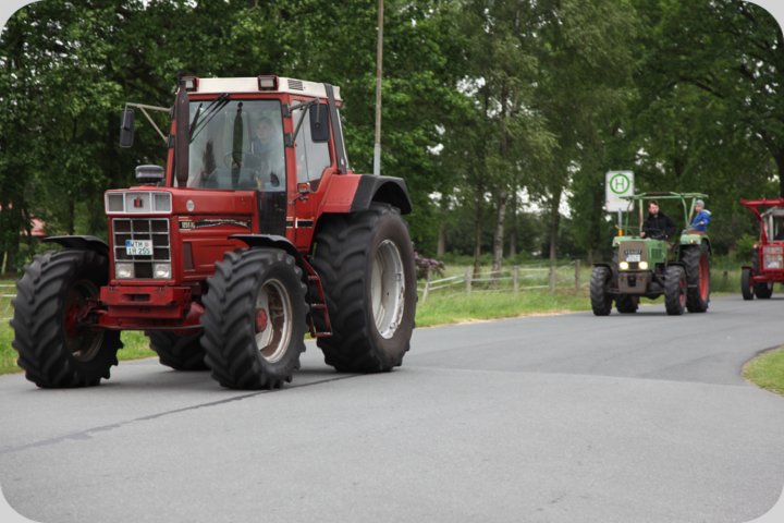 dorffest_2019__4_.jpg