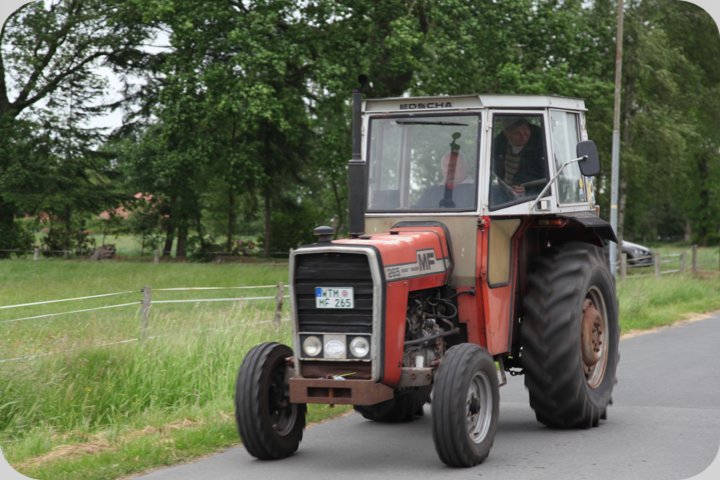 dorffest_2019__56_.jpg
