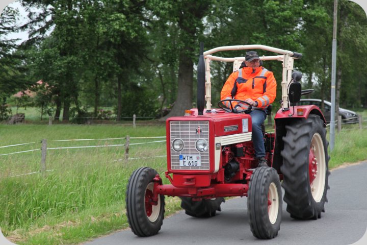 dorffest_2019__59_.jpg