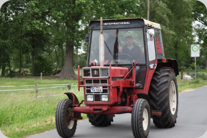dorffest_2019__61_.jpg