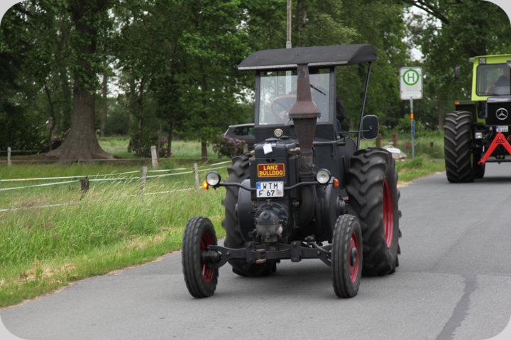 dorffest_2019__62_.jpg