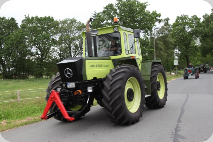dorffest_2019__63_.jpg