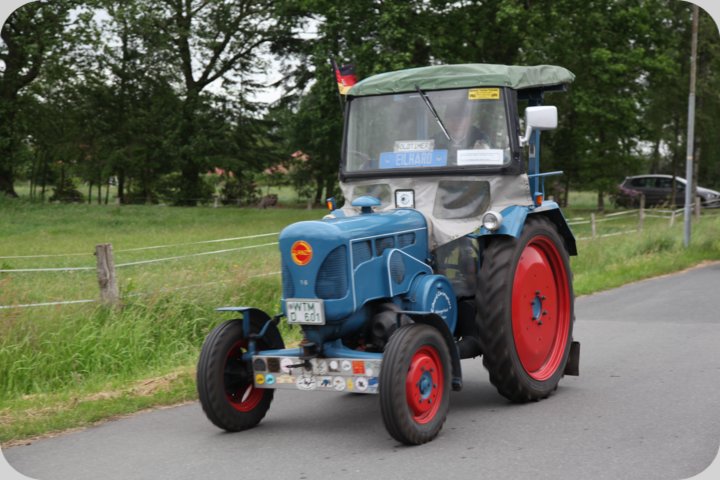 dorffest_2019__67_.jpg