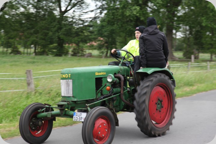dorffest_2019__70_.jpg