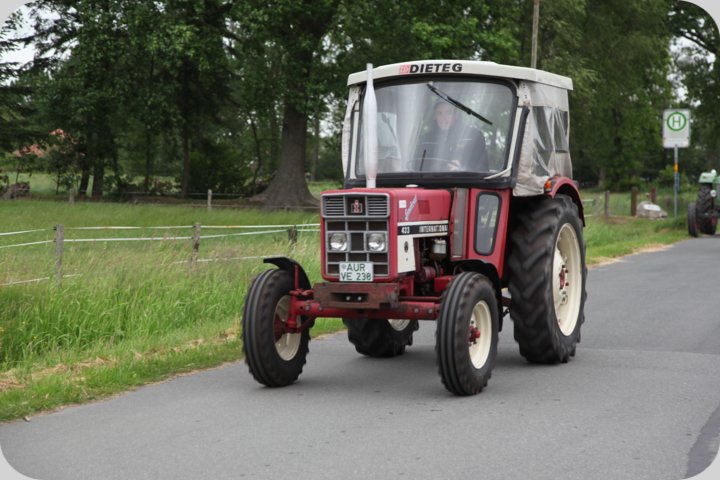 dorffest_2019__71_.jpg