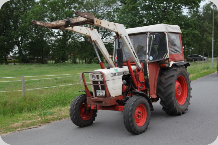 dorffest_2019__79_.jpg