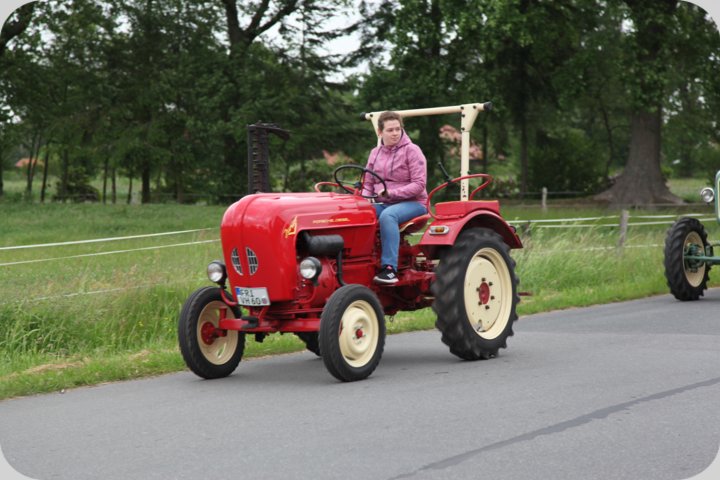dorffest_2019__7_.jpg