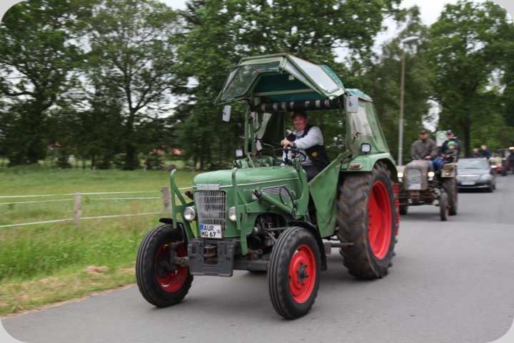 dorffest_2019__82_.jpg