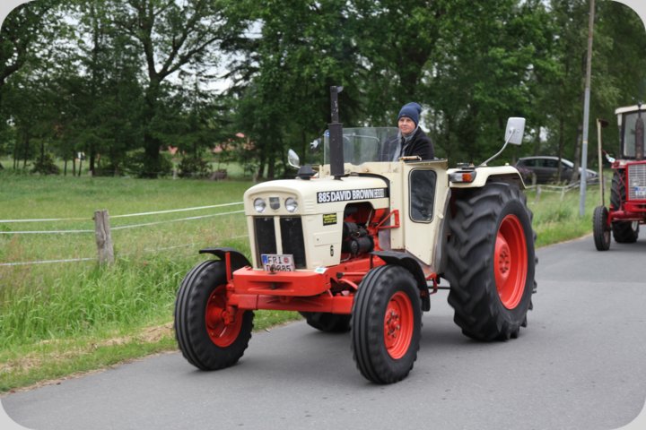 dorffest_2019__86_.jpg