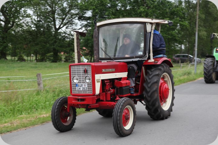 dorffest_2019__87_.jpg