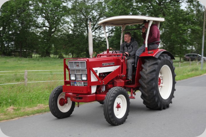 dorffest_2019__93_.jpg