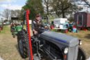 dorffest_2019__444_.jpg