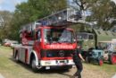 dorffest_2019__448_.jpg