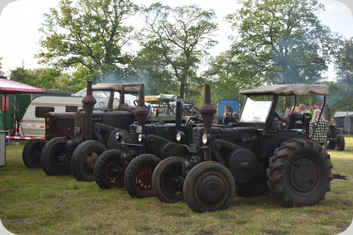 dorffest_2022_disco__5_.jpg