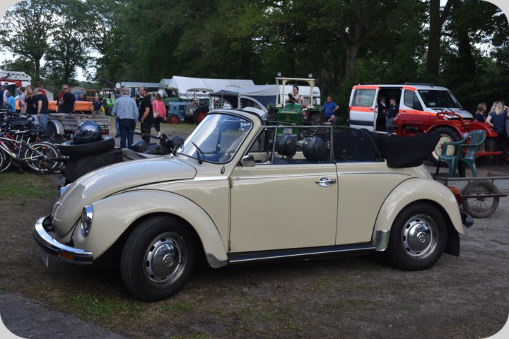dorffest_2022_disco__27_.jpg