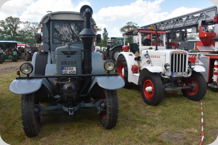 dorffest_2022_disco__4_.jpg