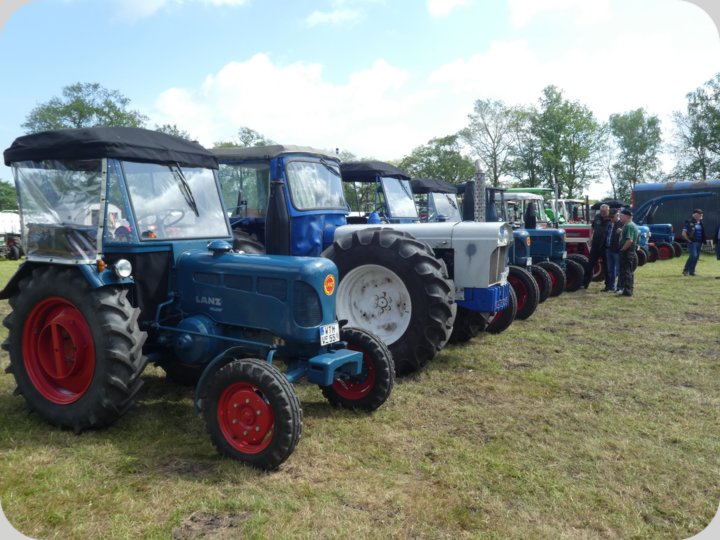 dorffest_2022_1__22_.jpg