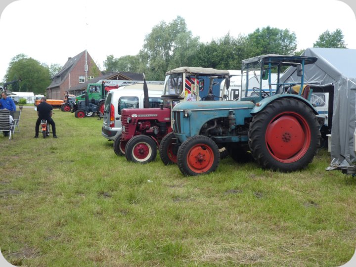 dorffest_2022_1__29_.jpg