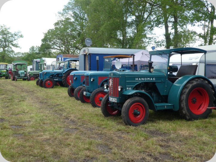 dorffest_2022_1__30_.jpg