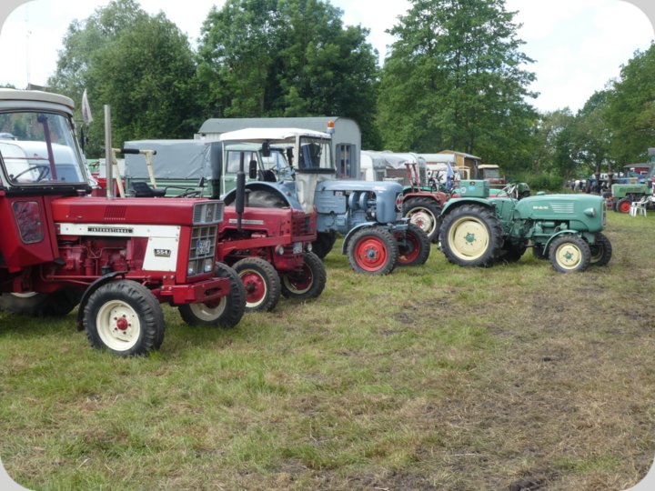 dorffest_2022_1__38_.jpg
