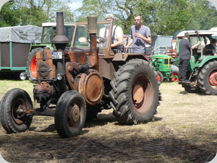 dorffest_2022_1__49_.jpg