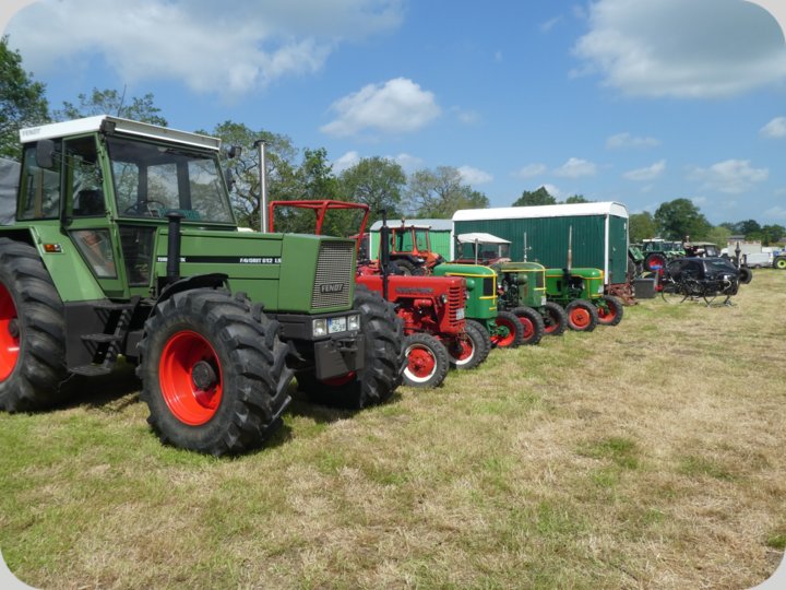 dorffest_2022_1__50_.jpg