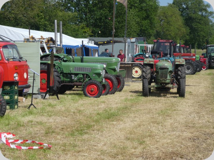 dorffest_2022_1__55_.jpg