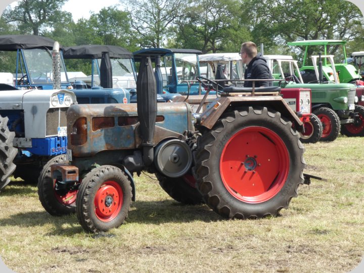 dorffest_2022_1__70_.jpg